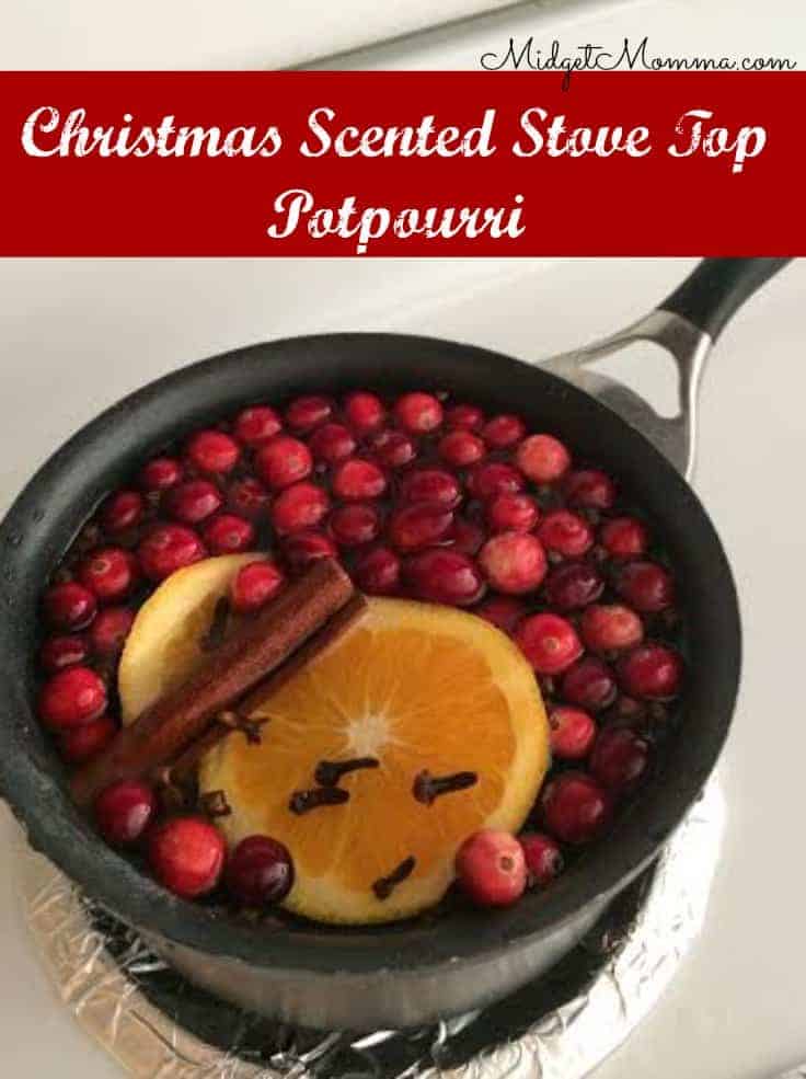 Christmas Scented Stove Top Potpourri